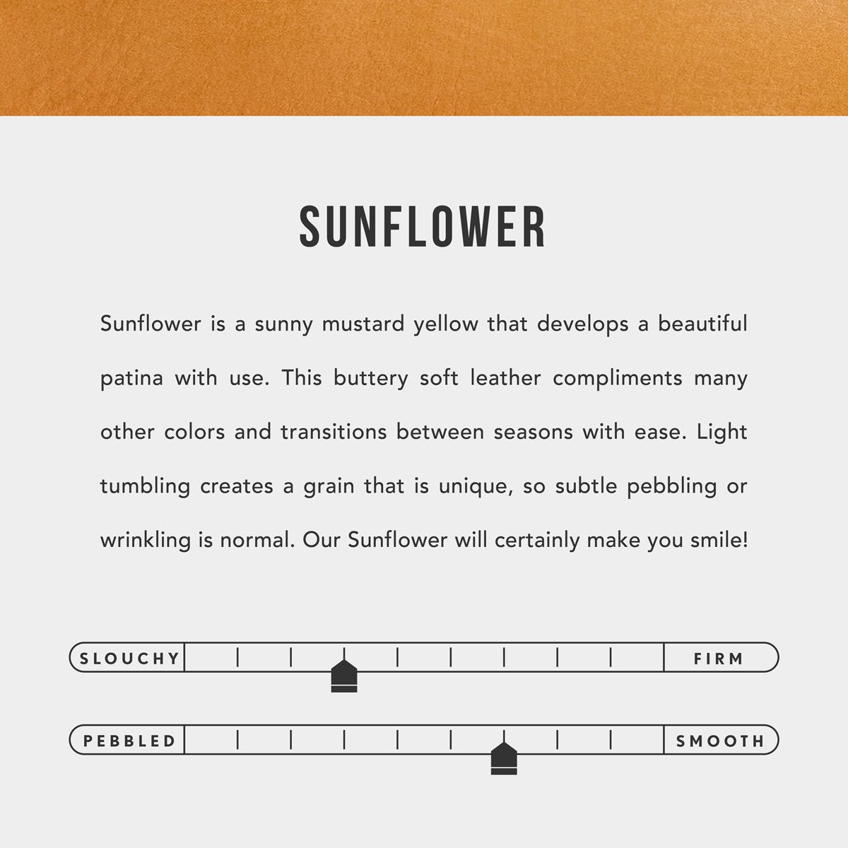 Portland Leather Goods 'Almost Perfect' Eclipse Makeup Bag